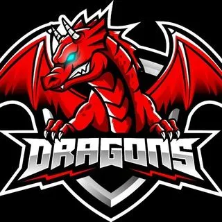 DRAGON FEEDBACK - отзывы и фидбек