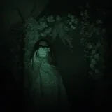 desuwize - стиль и тренды