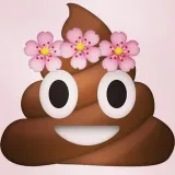 ShitPic- absurd pictures