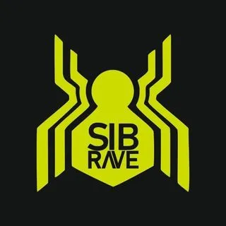 SIBRAVE - сибирский рейв фестиваль