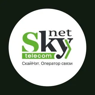 SkyNet - интернет бот