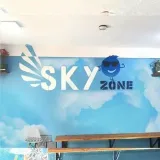Skyzone- games and films