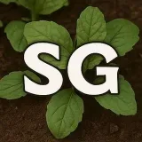 Smart Garden