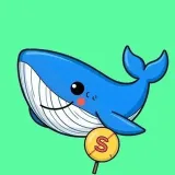 Reloj SmartMoney - Criptoinspecciones