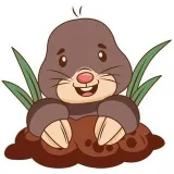 Mole Smash - el pin-juego