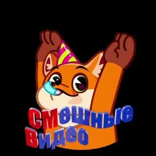 Смешные Видео Приколы - лучшие ролики