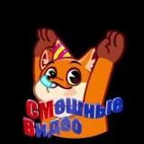 Смешные Видео Приколы - лучшие ролики