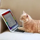 RegistrationBot - RegistrationBot