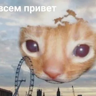 Мемория - мемы и юмор