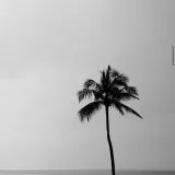 SONGS- Online music