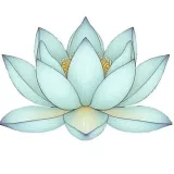 Sonido Lotus.Sonido Lotus