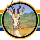 South Africa Reports- South Africa news.