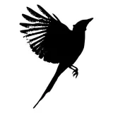 The Sparrow - AI и технологии