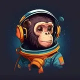 SPACE MONKEY - memes and content