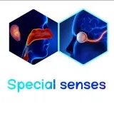 Special sensesenses