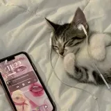 Speed Songs Wexy - быстрые песни