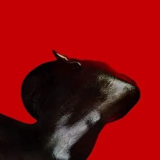 Splatterpunk - хардкор рэп