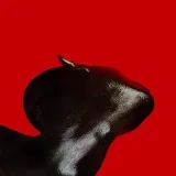Splatterpunk - хардкор рэп