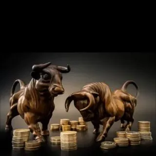 SRH Finance - акции и инвестиции