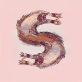 Sly 🐾- cute animals.