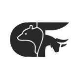 Clarify Forex - trading MT4 and MT5
