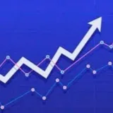 STOCK OPTIONS- Stock options.
