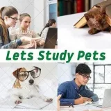 Let's Study Pets - ветеринария