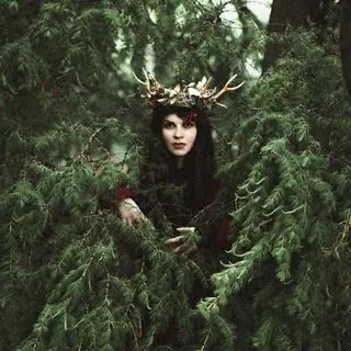Stump hunter - охота на пни и шаманские практики