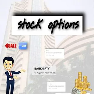 STOCK OPTIONS - анализ акций