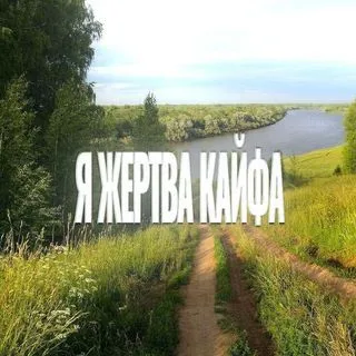 Фотоплёнка - фото