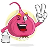 ONION is an onion game