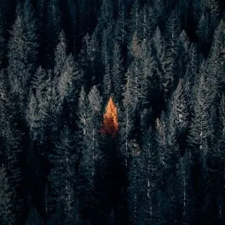 Swift Dark - тёмная тема приложений