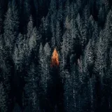 Swift Dark - тёмная тема приложений