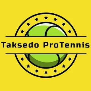 Taksedo ProTennis - анализ тенниса