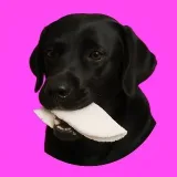 TapiocaNormal - recipes and memes