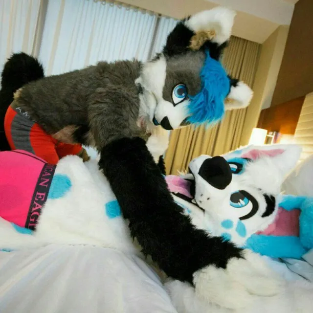 Locura de Murrsuit - Porno