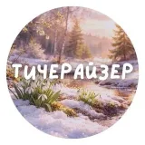 Teacherizer - материалы для преподавателей