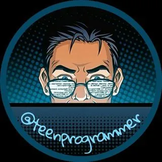 Teen Programmer - курсы