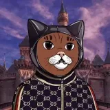TON NFTCats Metaversecats
