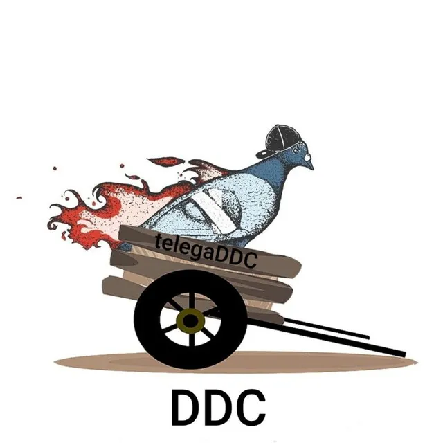 DDC - racing to success