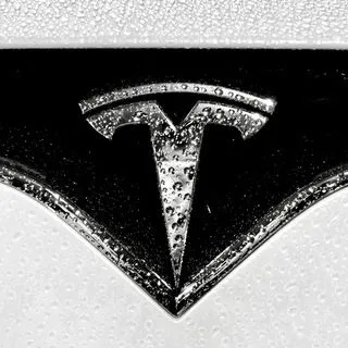 Tesla Motors Fans - фанаты Tesla