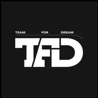 Team For Dream - временный персонал