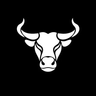 TheBull Bot