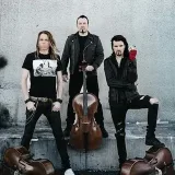 The Cello Corner - cello