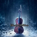 TheLifeOf courseMusicmusic of life