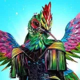 The Masked Singer - маски мира