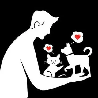 The Open Heart - открой сердце