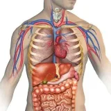 Medicina-Medicina.