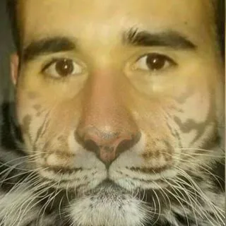 Marchio Tigre - юмор