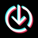 Descargar video TikTok - sin marcas de agua
